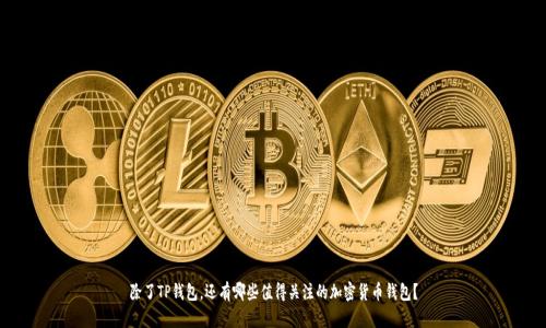 除了TP钱包,还有哪些值得关注的加密货币钱包?