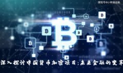 深入探讨中国货币加密项目:未来金融的变革