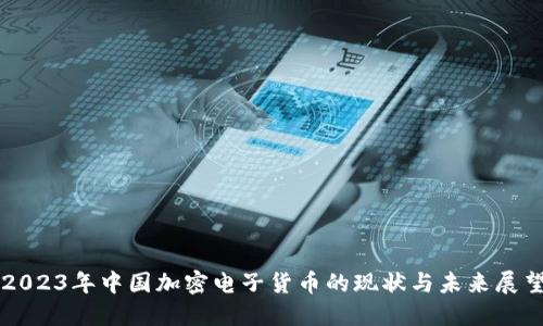 2023年中国加密电子货币的现状与未来展望