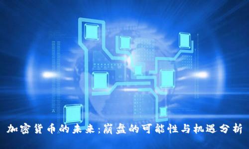 加密货币的未来:崩盘的可能性与机遇分析