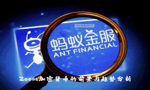 Zoom加密货币的前景与趋势分析