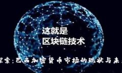 深入探索:巴西加密货币市场的现状与未来发展