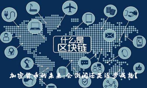加密货币的未来:会倒闭还是逐步成熟?