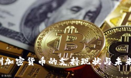 非洲加密货币的支持现状与未来展望