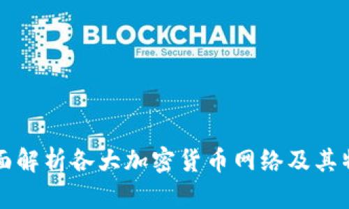 全面解析各大加密货币网络及其特点