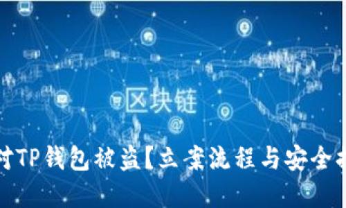 如何应对TP钱包被盗?立案流程与安全措施详解