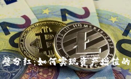 TP钱包赤壁分红:如何实现资产增值的最佳选择