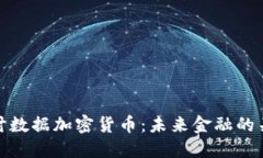 深入探讨数据加密货币:未来金融的关键概念