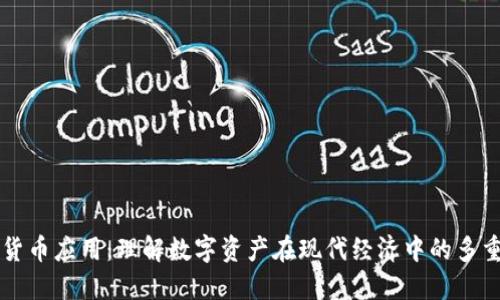 加密货币应用：理解数字资产在现代经济中的多重角色