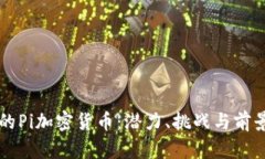 未来的Pi加密货币:潜力、挑战与前景分析