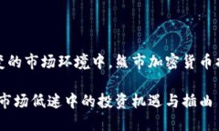 在这个瞬息万变的市场环境中,熊市加密货币插