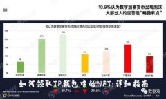 如何领取TP钱包中的NFT:详细指南