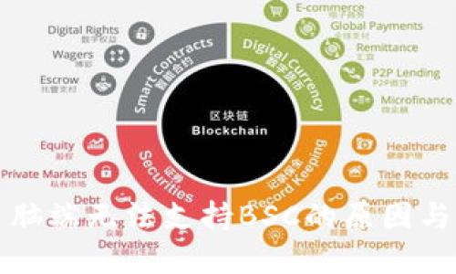 TP钱包电脑端无法支持BSC的原因与解决方案