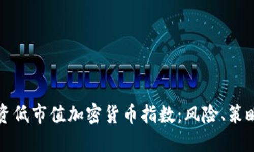 如何投资低市值加密货币指数:风险、策略与前景