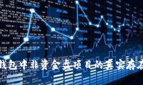 探讨TP钱包中非资金盘项目的真实存在与影响