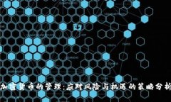 加密货币的管理:应对风险与机遇的策略分析