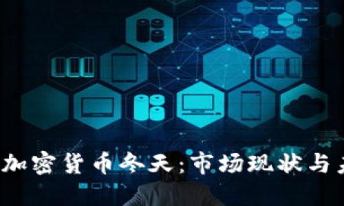 2023年加密货币冬天:市场现状与未来展望