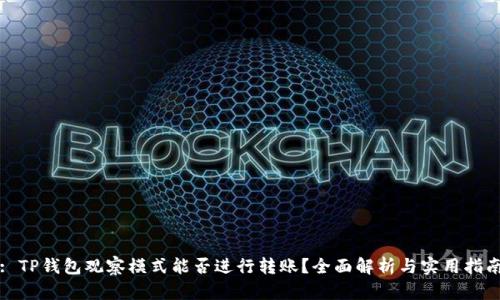 : TP钱包观察模式能否进行转账?全面解析与实用指南