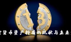 美国加密货币资产持有的现状与未来发展趋势