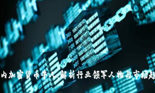 国内加密货币牛人:解析行业领军人物与市场趋势