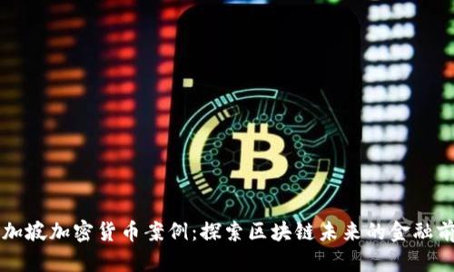 新加坡加密货币案例:探索区块链未来的金融前沿