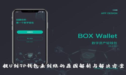提U到TP钱包未到账的原因解析与解决方案
