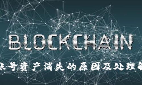 tp钱包账号资产消失的原因及处理解决方案