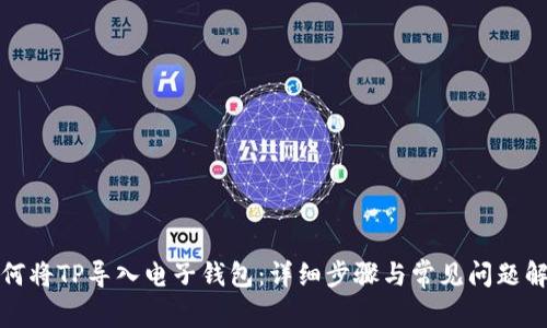 如何将TP导入电子钱包:详细步骤与常见问题解答