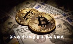 深入探讨SI加密货币：机遇与挑战