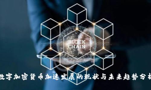 数字加密货币加速发展的现状与未来趋势分析