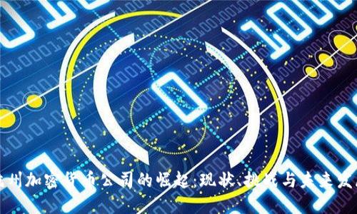 杭州加密货币公司的崛起：现状、挑战与未来发展