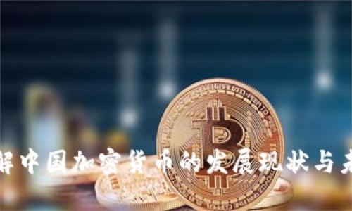全面了解中国加密货币的发展现状与未来趋势