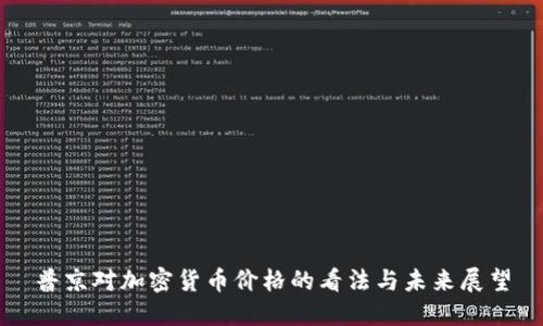 普京对加密货币价格的看法与未来展望