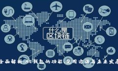 全面解析：AE钱包的功能、使用方法与未来发展