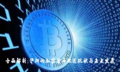 全面解析：伊朗的加密货币配送现状与未来发展