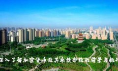深入了解加密货币及其永续合约的前景与挑战