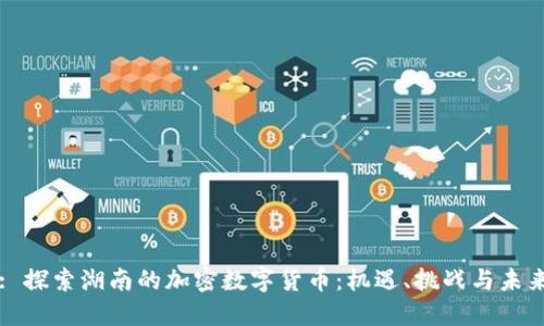 : 探索湖南的加密数字货币：机遇、挑战与未来