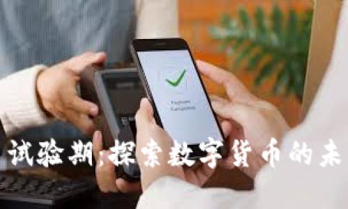 加密货币试验期:探索数字货币的未来与挑战