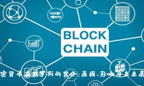 加密货币在俄罗斯的禁令:原因、影响与未来展望