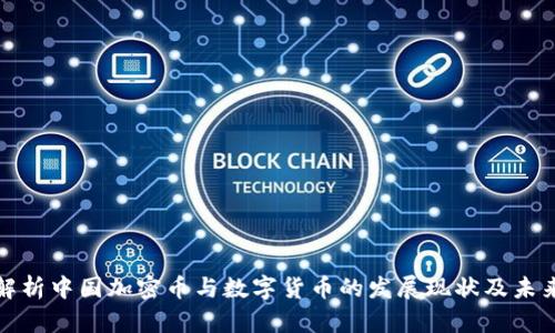 全面解析中国加密币与数字货币的发展现状及未来趋势