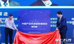 加密货币排序图解：深入了解最受欢迎的数字货
