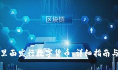 如何在TP钱包里面发行数字货币：详细指南与常见