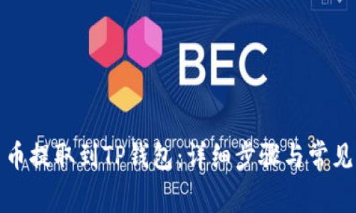 如何将法币提取到TP钱包：详细步骤与常见问题解答