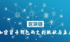 中国加密货币钱包的支持现状与未来发展