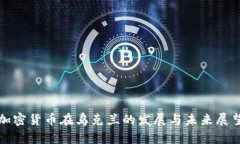 加密货币在乌克兰的发展与未来展望