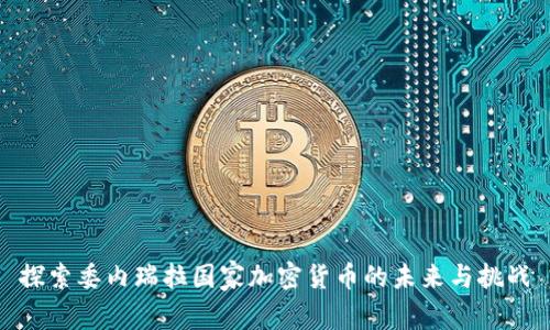 探索委内瑞拉国家加密货币的未来与挑战