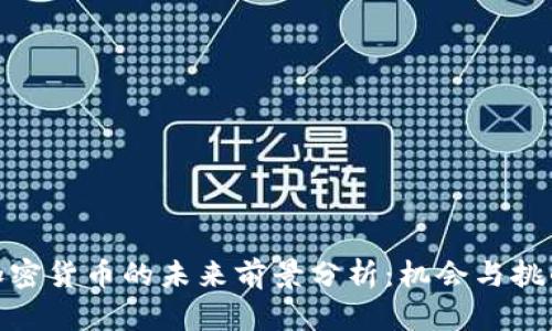 数字加密货币的未来前景分析:机会与挑战并存