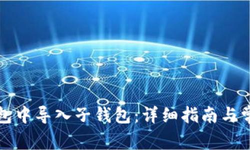 如何在TP钱包中导入子钱包：详细指南与常见问题解答