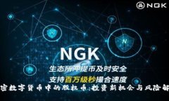 加密数字货币中的股权币：投资新机会与风险解