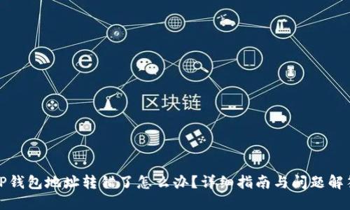 TP钱包地址转错了怎么办？详细指南与问题解答